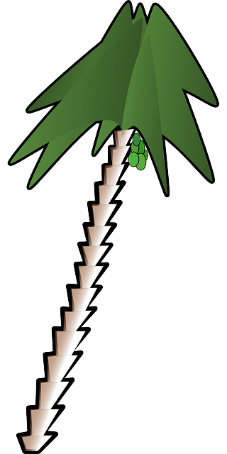 Free download Date Palm Tree - Free vector graphic on Pixabay free illustration to be edited with GIMP free online image editor