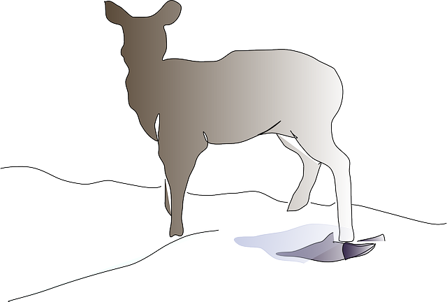 Free download Deer Animal Mammal - Free vector graphic on Pixabay free illustration to be edited with GIMP free online image editor