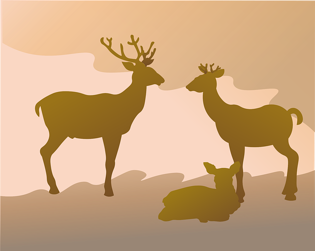 Free download Deer Family Stag - Free vector graphic on Pixabay free illustration to be edited with GIMP free online image editor