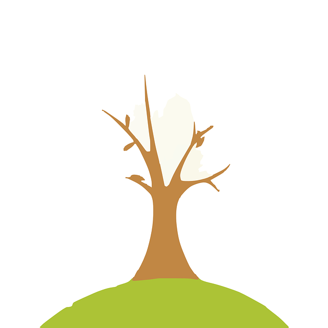 Free download Deforestation Dead Tree Autumn - Free vector graphic on Pixabay free illustration to be edited with GIMP free online image editor