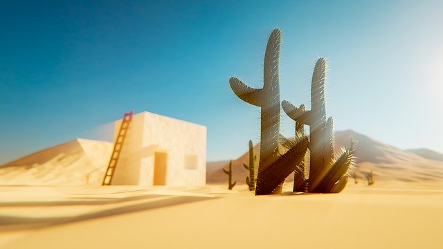 Kostenloser Download Desert Cactus Sand Dirt - kostenloses Foto oder Bild zur Bearbeitung mit GIMP Online-Bildbearbeitung