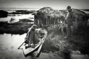 ດາວໂຫຼດຟຣີ Digital Charcoal Drawing of a Bird Hunter in the Norfolk Broads free photo or picture to be edited with GIMP online image editor