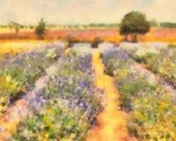 Free download Digital Oil Painting of a Lavender Field in Fredericksburg, Texas free photo or picture to be edited with GIMP online image editor