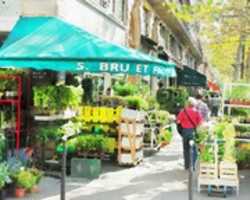 Free download Digital Watercolor Painting of a Flower Stall on the Right Bank of the Seine in Paris, France free photo or picture to be edited with GIMP online image editor