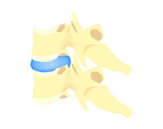 Free download Disk Vertebra Articulation -  free illustration to be edited with GIMP free online image editor