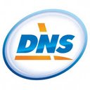 Поиск на сайте dns shop.ru  screen for extension Chrome web store in OffiDocs Chromium