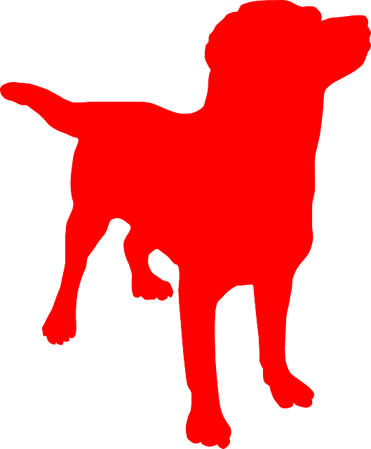 Free download Dog Doggy Canine - Free vector graphic on Pixabay free illustration to be edited with GIMP free online image editor