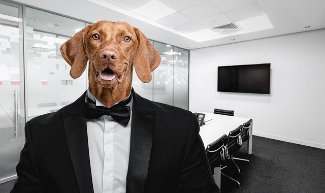 Free download dog men s suit office selfie free picture to be edited with GIMP free online image editor