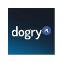 Dogry  screen for extension Chrome web store in OffiDocs Chromium