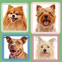 Dogs Collage  screen for extension Chrome web store in OffiDocs Chromium