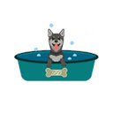 Dog Wash Station Buying Guide  screen for extension Chrome web store in OffiDocs Chromium