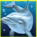 Игровой автомат Dolphins Pearl  screen for extension Chrome web store in OffiDocs Chromium