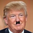 Donald trumps Hitler  screen for extension Chrome web store in OffiDocs Chromium