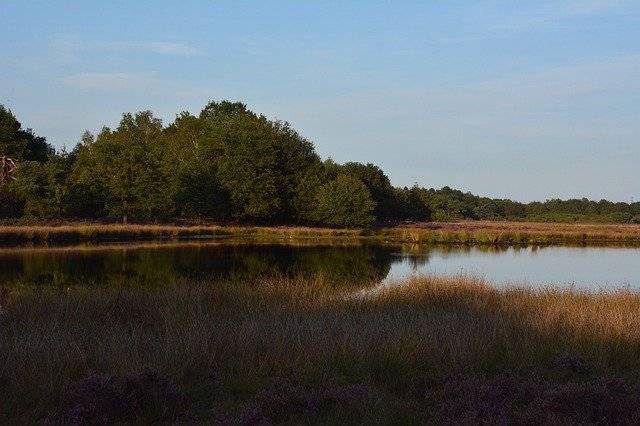 ดาวน์โหลดฟรี Drenthe Nature Heide - ภาพถ่ายหรือรูปภาพฟรีที่จะแก้ไขด้วยโปรแกรมแก้ไขรูปภาพออนไลน์ GIMP