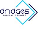 Dridges Profile Uploader  screen for extension Chrome web store in OffiDocs Chromium