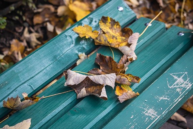 Free download dried leaves park bench autumn fall free picture to be edited with GIMP free online image editor