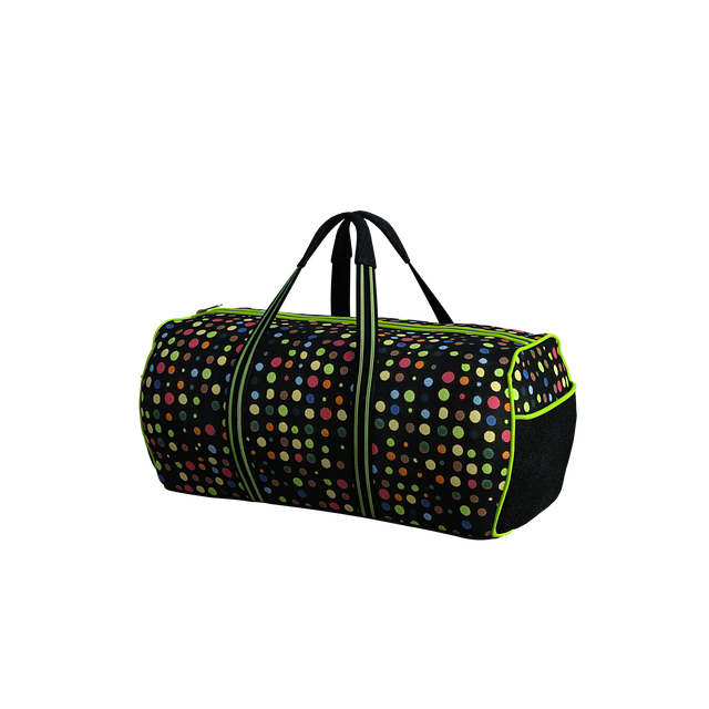 Free download Duffle Bag Luggage Carry -  free illustration to be edited with GIMP free online image editor