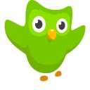 Duolingo Appearance  screen for extension Chrome web store in OffiDocs Chromium