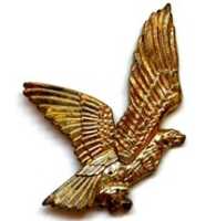 Free download Eagle Badge Mod free photo or picture to be edited with GIMP online image editor