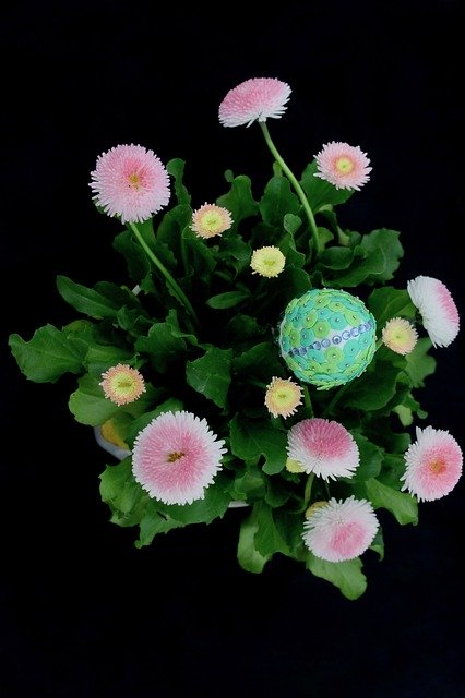 Download gratuito di Easter Egg Flowers - foto o immagine gratuita da modificare con l'editor di immagini online di GIMP