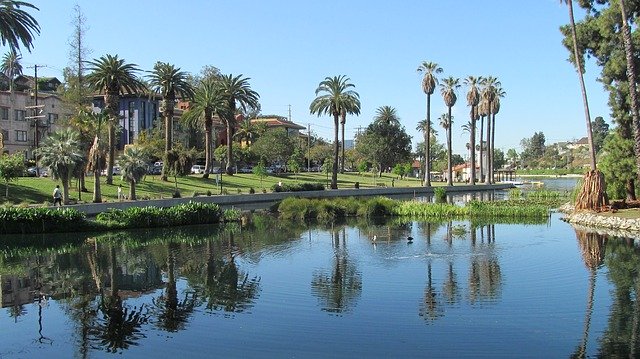 Free download echo park los angeles lake palms free picture to be edited with GIMP free online image editor