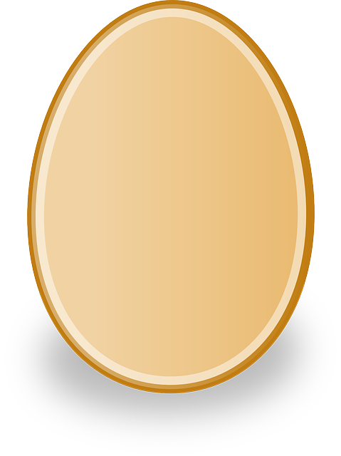 Free download Egg Poultry Chicken - Free vector graphic on Pixabay free illustration to be edited with GIMP free online image editor