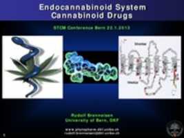 Ücretsiz indir Endokannabinoid Sistemi - Kannabinoid İlaçlar GIMP çevrimiçi resim düzenleyiciyle düzenlenecek ücretsiz fotoğraf veya resim