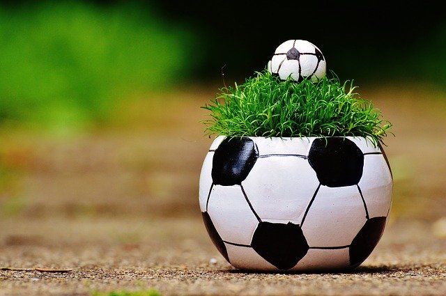 Free download european championship soccer grass free picture to be edited with GIMP free online image editor