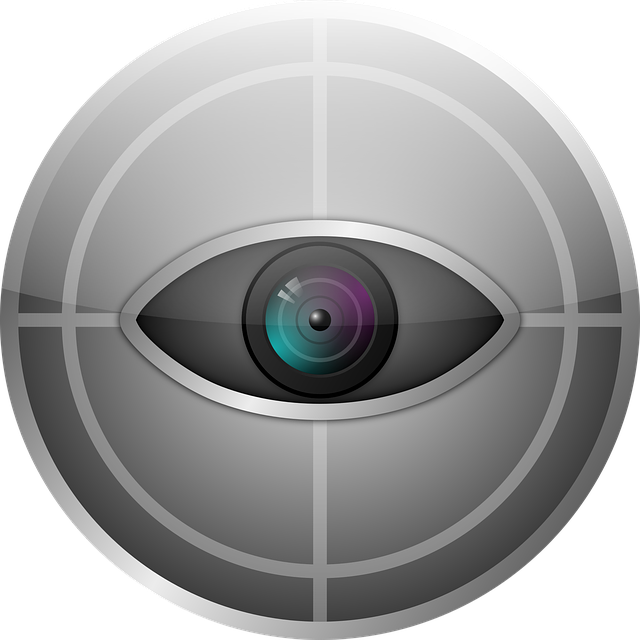 Free download Eye Camera Watcher -  free illustration to be edited with GIMP free online image editor