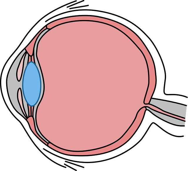 Free download Eye Drawing Body -  free illustration to be edited with GIMP free online image editor