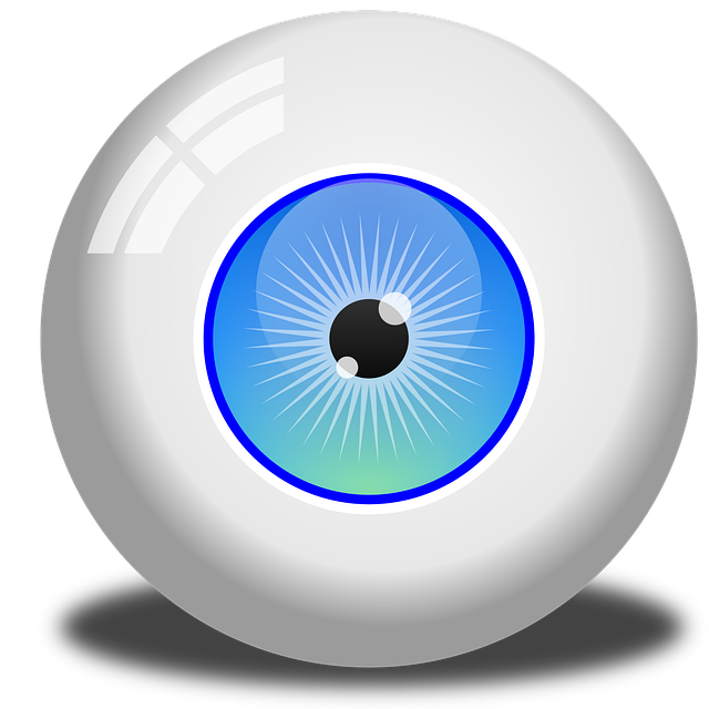 Free download Eye Eyeball Vision -  free illustration to be edited with GIMP free online image editor