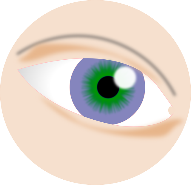 Free download Eye Visual - Free vector graphic on Pixabay free illustration to be edited with GIMP free online image editor