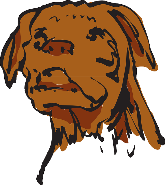 Free download Face Dog Pet - Free vector graphic on Pixabay free illustration to be edited with GIMP free online image editor