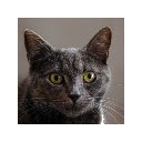 Fake Cat Generator  screen for extension Chrome web store in OffiDocs Chromium