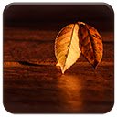 Fall Morning  screen for extension Chrome web store in OffiDocs Chromium