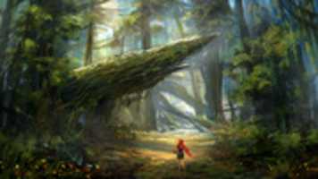 Free download Fantasy Forest - Concept Art free photo or picture to be edited with GIMP online image editor