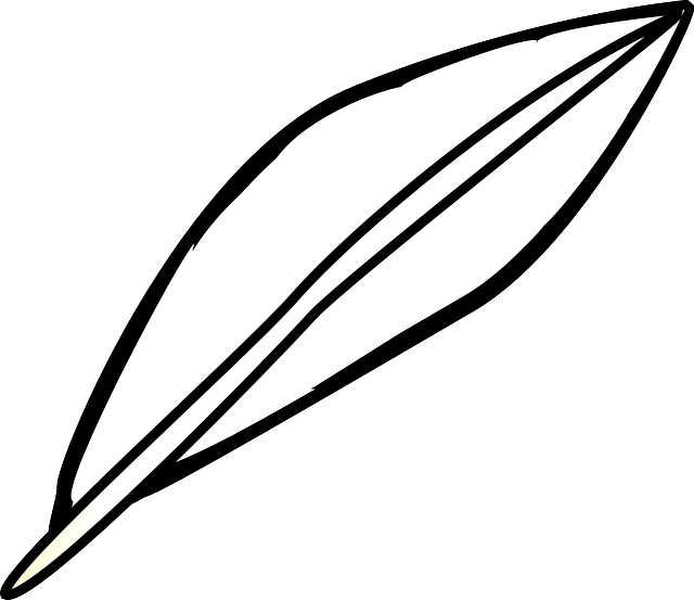 Free download Feather Bird Lightweight - Free vector graphic on Pixabay free illustration to be edited with GIMP free online image editor