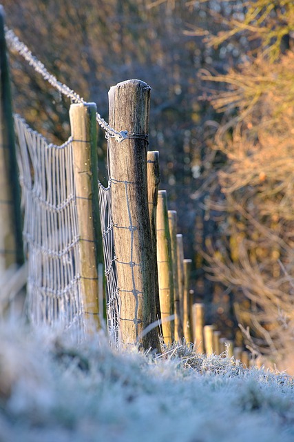 Free download fence ice winter frost cold poles free picture to be edited with GIMP free online image editor