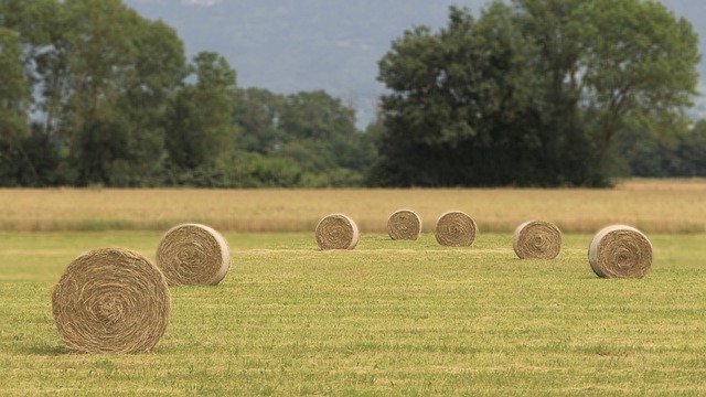 Free download field grinding wheel hay roller free picture to be edited with GIMP free online image editor