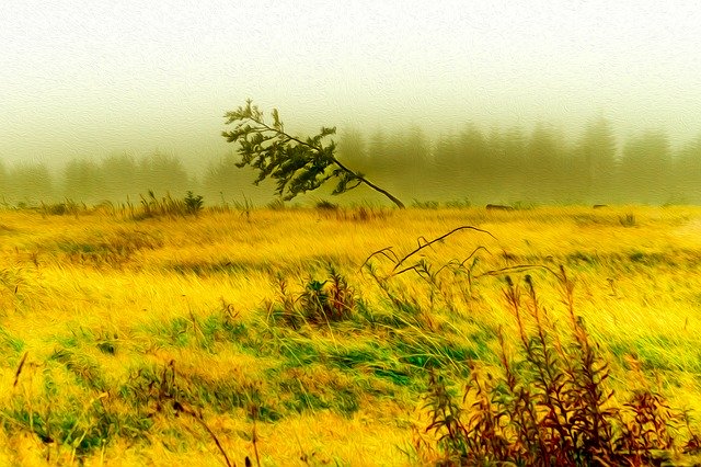 הורדה בחינם של Field Landscape Nature תבנית תמונה בחינם לעריכה עם עורך התמונות המקוון GIMP