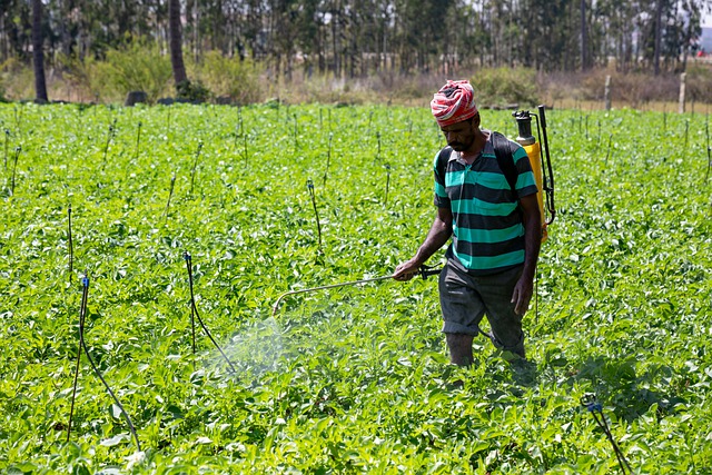 Free download field plantation agriculture man free picture to be edited with GIMP free online image editor