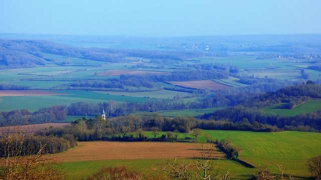 Free download fields forest fall green nature free picture to be edited with GIMP free online image editor