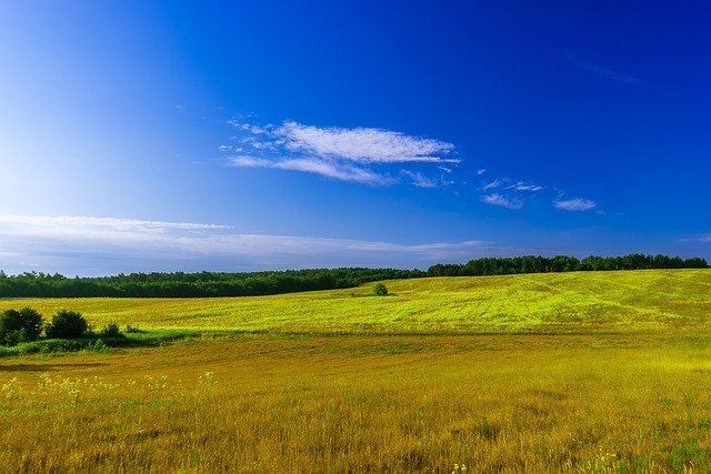 Free download fields forest morning sky clouds free picture to be edited with GIMP free online image editor