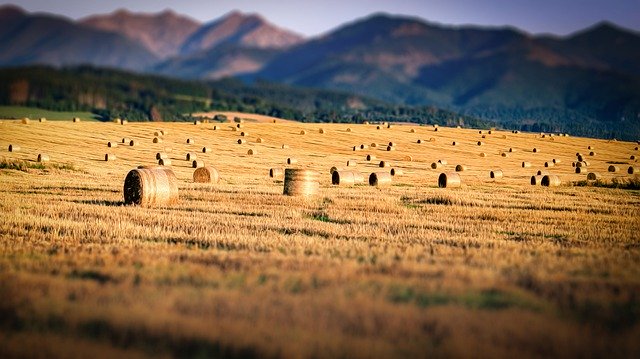 Tải xuống miễn phí Field Straw Mountains - ảnh hoặc ảnh miễn phí được chỉnh sửa bằng trình chỉnh sửa ảnh trực tuyến GIMP