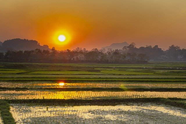 Free download field sunset countryside nature free picture to be edited with GIMP free online image editor