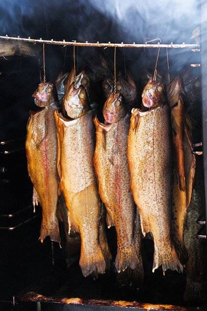 دانلود رایگان Fish Smoked - عکس یا تصویر رایگان قابل ویرایش با ویرایشگر تصویر آنلاین GIMP