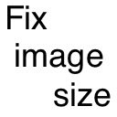 Fix image size  screen for extension Chrome web store in OffiDocs Chromium