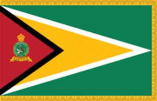 Free download Flags of the Guyana Defence  and Police Forces  free photo or picture to be edited with GIMP online image editor