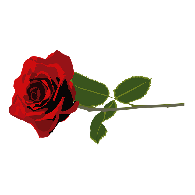 Free download Flower Red Roses -  free illustration to be edited with GIMP free online image editor