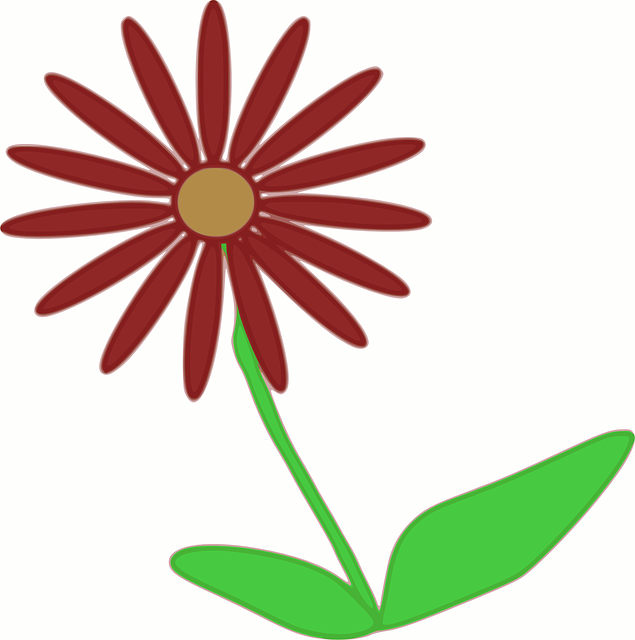 Free download Flower Spring Plant - Free vector graphic on Pixabay free illustration to be edited with GIMP free online image editor